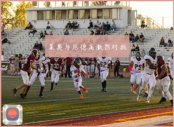 莱奥与厄德高激烈对抗