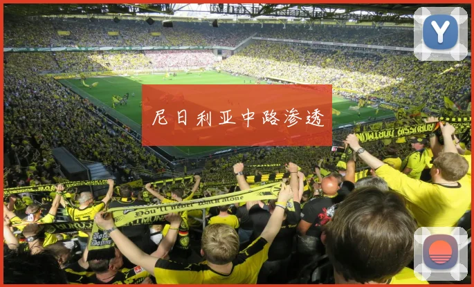 尼日利亚中路渗透