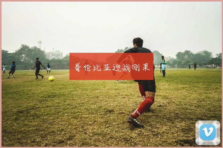 哥伦比亚迎战刚果