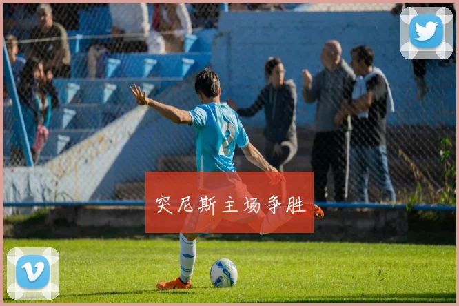 突尼斯主场争胜